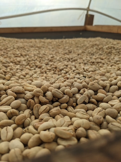 Kaffeebohnen Kolumbien Bohnenkaffee ganze Bohnen